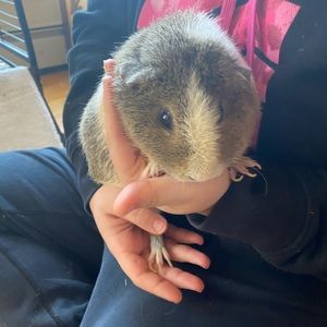 Meet your Posher, Rebecca